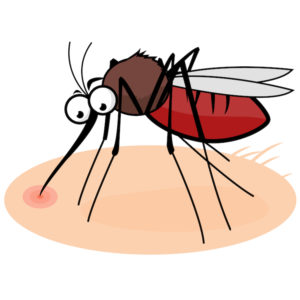 mosquito_biting